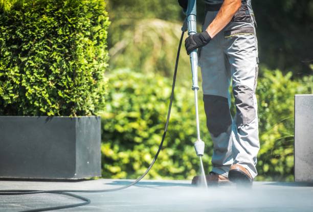 Best Spring Cleaning  in Dora, AL